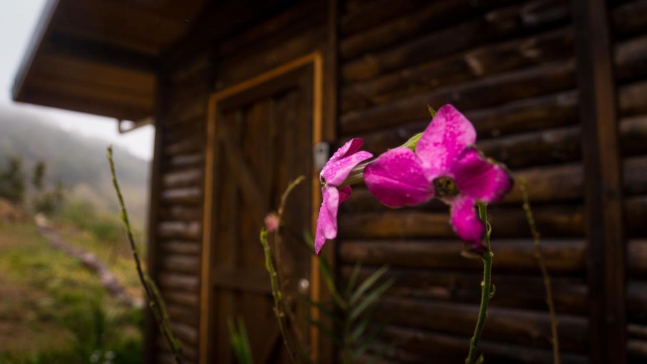 Villa Finca Las Huellas: Cabana Acogedora En La Montana Estrella Exterior foto