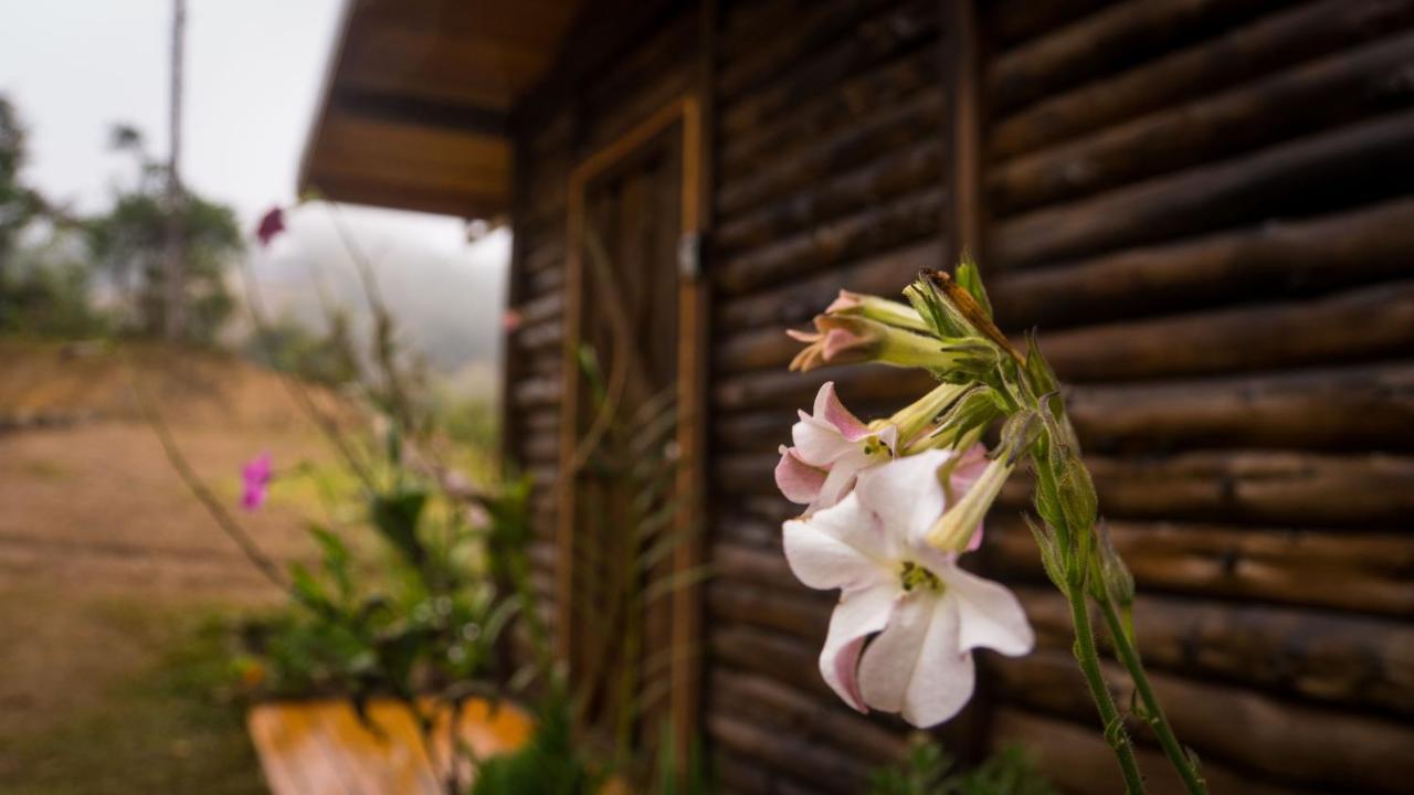 Villa Finca Las Huellas: Cabana Acogedora En La Montana Estrella Exterior foto